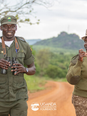 Uganda Wildlife Authority Rangers _Kidepo Valley National Park_2025 (2)