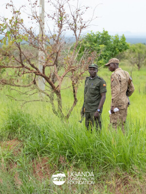 Uganda Wildlife Authority Rangers _Kidepo Valley National Park_2025 (3)