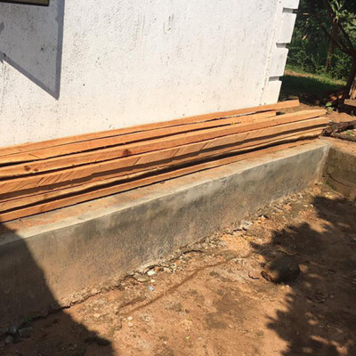 Pakwach Farmer Transforms 2020 Seedlings into Profitable Timber Harvest_2025 (3)
