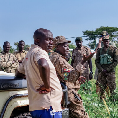 Kidepo - Turkana transboundary elephant collaring