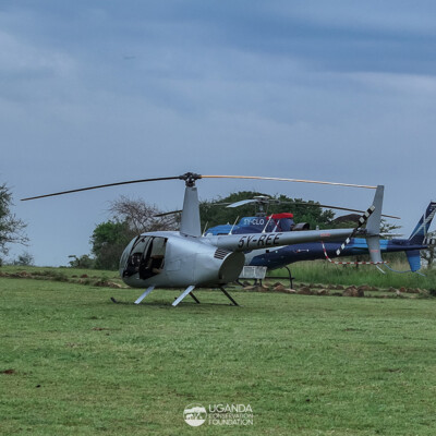 Kidepo - Turkana transboundary elephant collaring