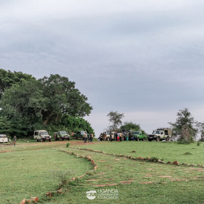 Teams getting ready for the elephant collaring activity