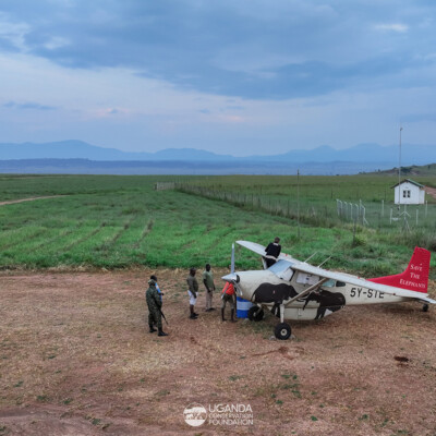 Vet teams boarding choppers to go collar elephants (2)