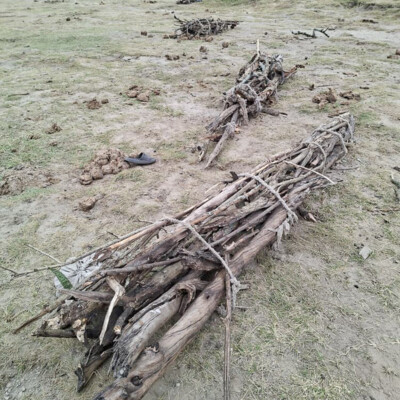 Confiscated firewood