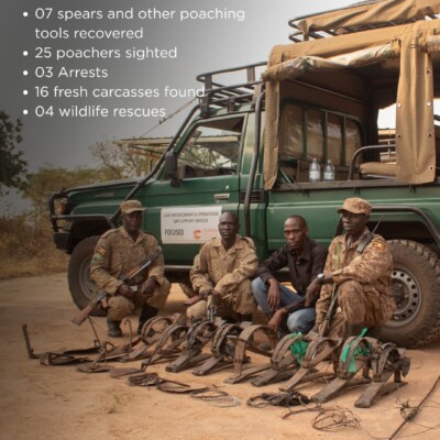 Inside Operation Simba and What It Means for Uganda's Wildlife